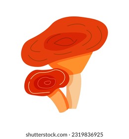 Mushrooms plants. Realistic natural foods for kitchen preparing products golden chanterelle champignons decent vector mushrooms pictures set