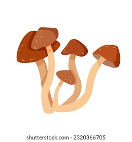 Mushrooms plants. Realistic natural foods for kitchen preparing products golden chanterelle champignons decent vector mushrooms pictures set
