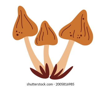 Mushrooms. Porcini mushrooms set. Autumn mood. Flat cartoon vector illustration isolated on white background.