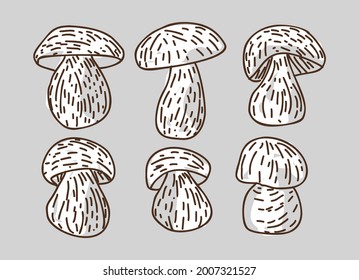 Mushrooms products. Top view frame. Hand drawn illustration. Pieces of Mushrooms design template. Engraved design. Great for package design. Vector illustration.