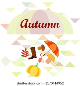 mushrooms pumpkin fallen leaves umbrella rubber boots autumnal vector background