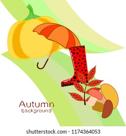 mushrooms pumpkin fallen leaves umbrella rubber boots autumnal vector background