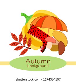 mushrooms pumpkin fallen leaves umbrella rubber boots autumnal vector background