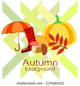 mushrooms pumpkin fallen leaves umbrella rubber boots autumnal vector background