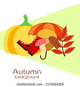 mushrooms pumpkin fallen leaves umbrella rubber boots autumnal vector background