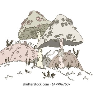 Mushrooms and pumpkins. Hand drawn vector EPS 10 illustration.