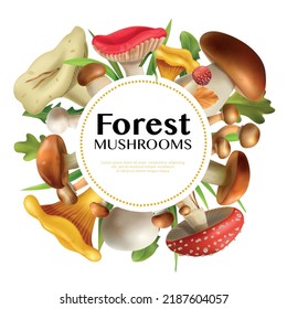 Mushrooms realistic frame with forest and chanterelles symbols vector illustration