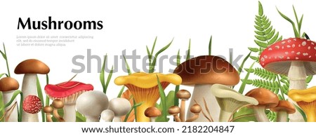 Similar – Image, Stock Photo Mushroom season