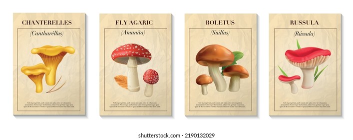 Mushrooms realistic poster set with boletus and russula isolated vector illustration