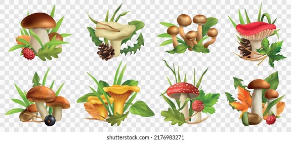 Mushrooms realistic transparent set with autumn symbols isolated vector illustration