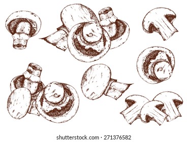 Mushrooms in retro style. Objects in one color with a white background .Vector without gradients.