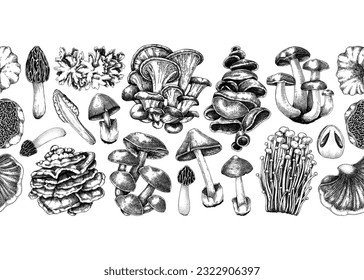 Mushrooms seamless pattern. Artistic autumn forest plant border. Fall background with edible fungi sketches. Hand drawn healthy food, fungal protein vector illustration. Repeating design for print