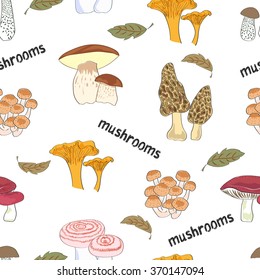 Mushrooms seamless pattern. Colorful repeating background with hand drawn fungus. 