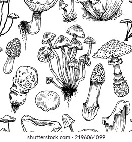 Mushrooms Seamless pattern. Edible and non-edible mushroom plants from wild forest. Outline hand drawn sketch. Drawing with ink. Isolated on white background. Vector.