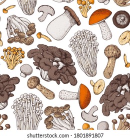 Mushrooms seamless pattern. Hand drawn. Various mushrooms hand drawn vector illustration. Food background. Forest mushrooms. 