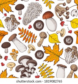 Mushrooms seamless pattern. Hand drawn. Various mushrooms hand drawn vector illustration. Food background. Forest mushrooms.