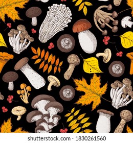 Los hongos son un patrón inquebrantable. Dibujado a mano. Diversos hongos dibujados a mano ilustran el vector. Fondo de la comida. Hongos forestales.