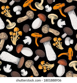 Mushrooms seamless pattern. Various mushrooms hand drawn vector illustration. Food background. Forest mushrooms.