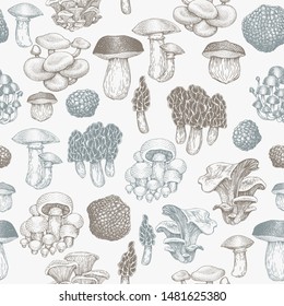 Mushrooms seamless pattern. Vector hand drawn illustrations. Mushroom in retro style. Autumn food background.