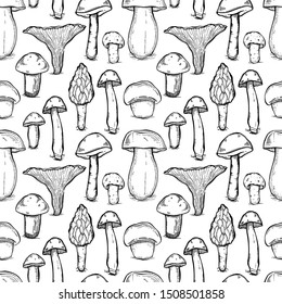 Mushrooms seamless pattern vintage. Hand drawn style sketch.Organic vegetarian product.Vector illustration
