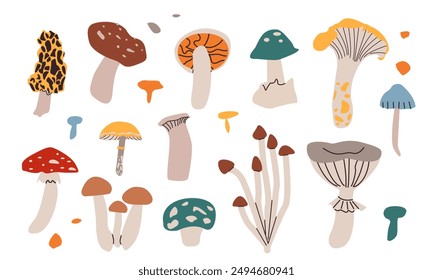 Mushrooms set. Autumn forest plants. Fall season food, raw healthy natural fungi, stalks and caps of different types. Modern botanical flat graphic vector illustrations isolated on white background