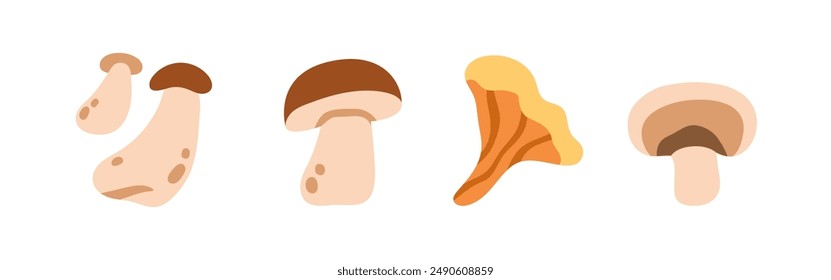 Mushrooms set. Boletus, porcini, chanterelle and champignon icons. Edible fungi. Autumn fall forest fungus. Healthy natural organic food, eating. Flat vector illustration isolated on white background