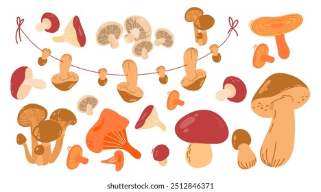 Mushrooms set. Boletus, Saffron milk cap, chanterelle, porcini mushroom, russula, honey mushrooms, champignons  icons. Edible fungi. Autumn fall forest fungus. Healthy natural organic food, eating. 