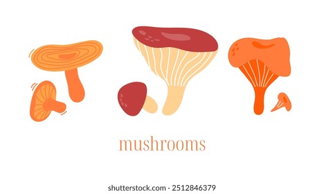 Conjunto de cogumelos. Boletus, tampa de leite açafrão, ícones chanterelle. Fungos comestíveis. Fungo da floresta outono. Comida orgânica natural saudável, comer. Ilustração de vetor plano isolada no plano de fundo branco