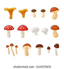Mushrooms Set. Cartoon Style on White Background. Vector