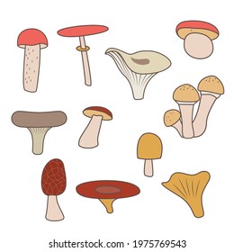 Mushrooms set. Cartoon mushrooms vector isolated vector image on white background.