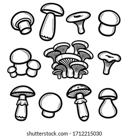 Mushrooms set. Collection icon mushroom. Vector