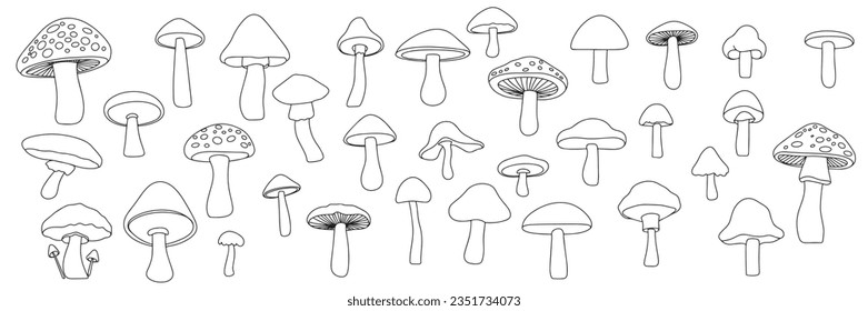 Mushrooms set in doodle style. Collection of hand drawn mushrooms outline isolated on white background. Vector illustration.