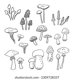 Setas. Está rodeado de doodles de taburetes, rebozuelos, colmenillas, setas porcini, paladines, micelio, mosca agaric, hongo, boleto, motivo forestal. Dibujo dibujado a mano.Ilustración vectorial