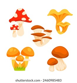 Mushrooms set. Edible and inedible mushroom plants. Chanterelle mushroom, poisonous fungus