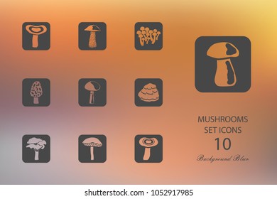Mushrooms. Set of flat icons on blurred background. Vector illustration