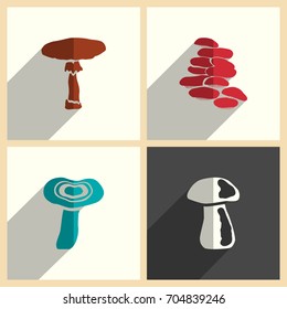 Mushrooms set of flat icons with shadow. Simple vector illustration