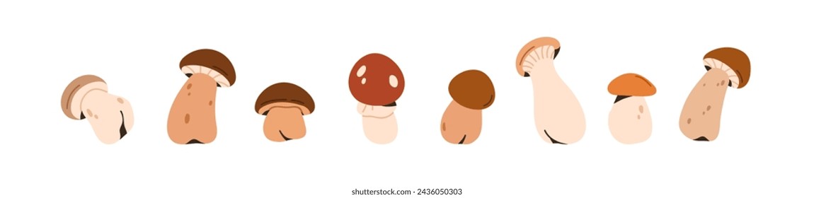 Mushrooms set. Forest fungi. Autumn fall fungus, edible boletus, eryngi and amanita, caps and stalks. Food plant, botanical design elements. Flat vector illustrations isolated on white background