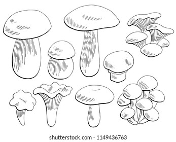 Mushrooms set graphic black white isolated sketch illustration vector