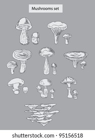 mushrooms set hand drawn illustrations