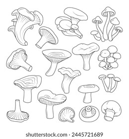 Mushrooms set. Hand drawn Line art. Black and white isolated on white background. Coloring page for kids and adults. Vector illustration.