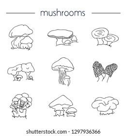 Mushrooms set hand drawn vector illustration. Sketch mushroom drawing. Organic vegetarian product. Great for menu, label, product packaging, recipe, icon. Eps 10