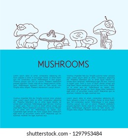 Mushrooms set hand drawn vector illustration. Sketch mushroom drawing. Organic vegetarian product. Great for menu, label, product packaging, recipe, icon. Eps 10