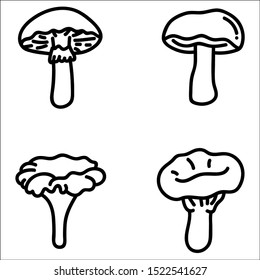 Mushrooms set hand drawn vector illustration. 