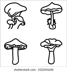 Mushrooms set hand drawn vector illustration. 