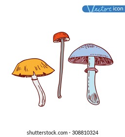 mushrooms set icons, vector illustration.