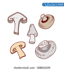 mushrooms set icons, vector illustration.