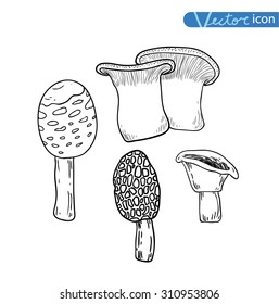 mushrooms set icons, vector illustration.
