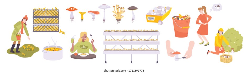 Mushrooms set with isolated flat icons of different mushrooms and images of baskets boxes with people vector illustration