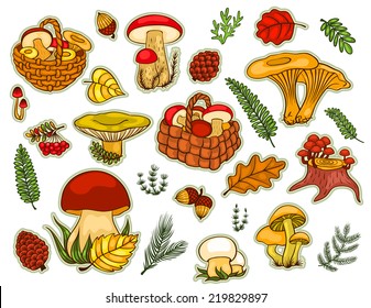 Mushrooms set isolated on white. Vector cartoon illustration.