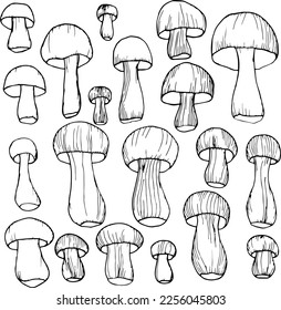 Mushrooms set simple hand drawing. Mushrooms of various sizes. Wallpaper with food.